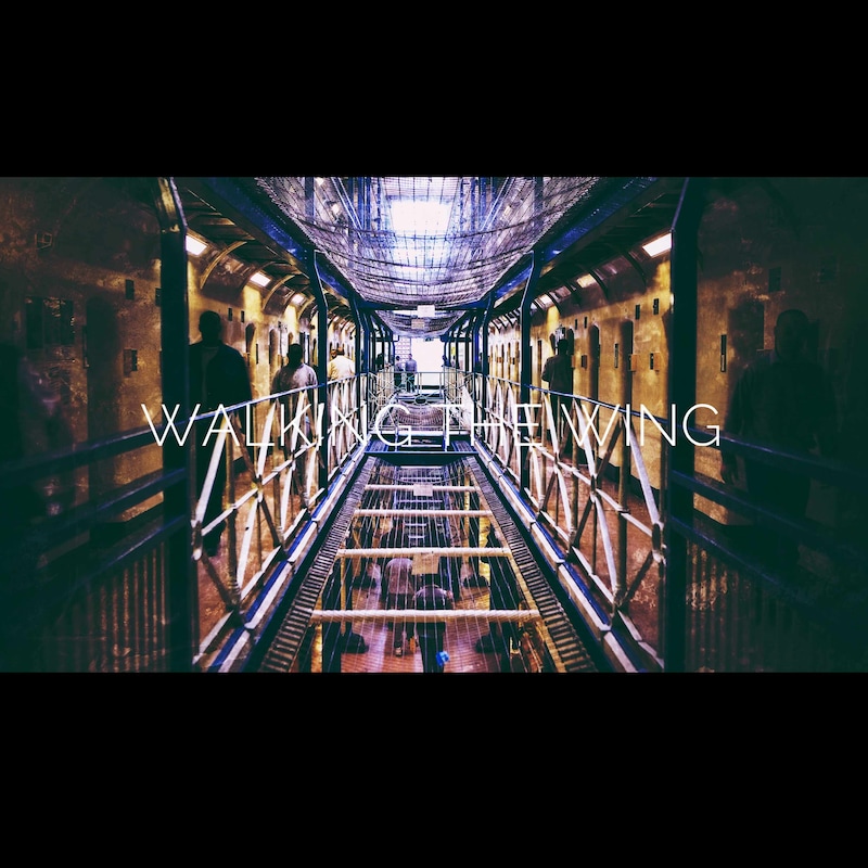 Artwork for podcast Sounding Out