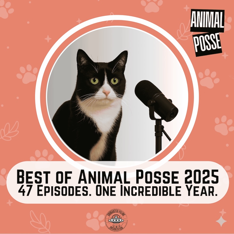 Artwork for podcast Animal Posse