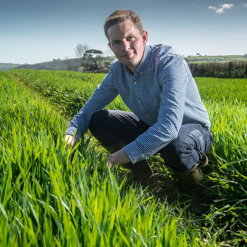 Artwork for podcast AHDB Food & Farming