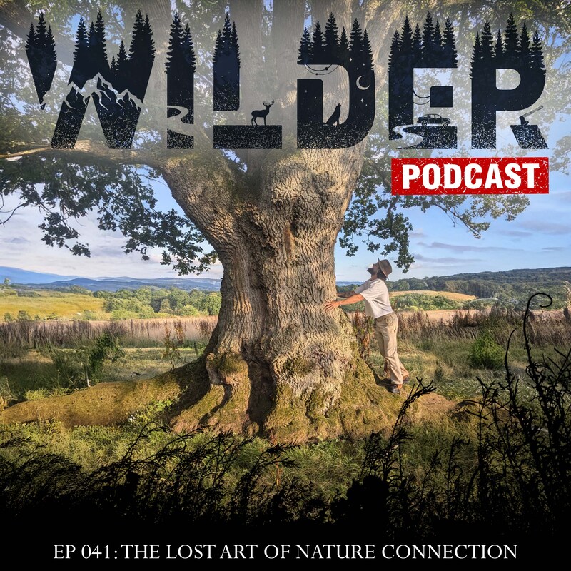Artwork for podcast Wilder Podcast