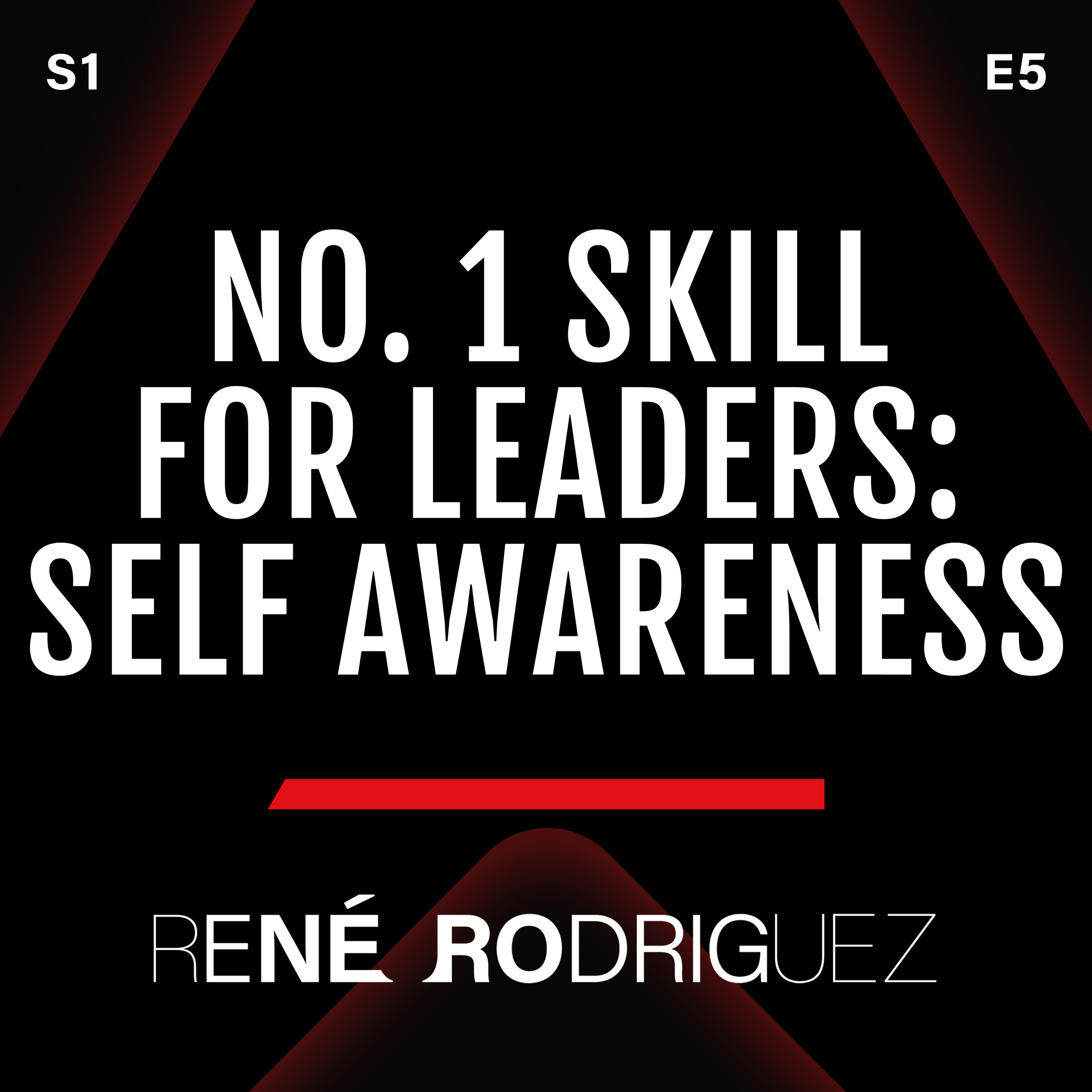 Artwork for podcast THE NEURO SIDE OF INFLUENCE AND LEADERSHIP