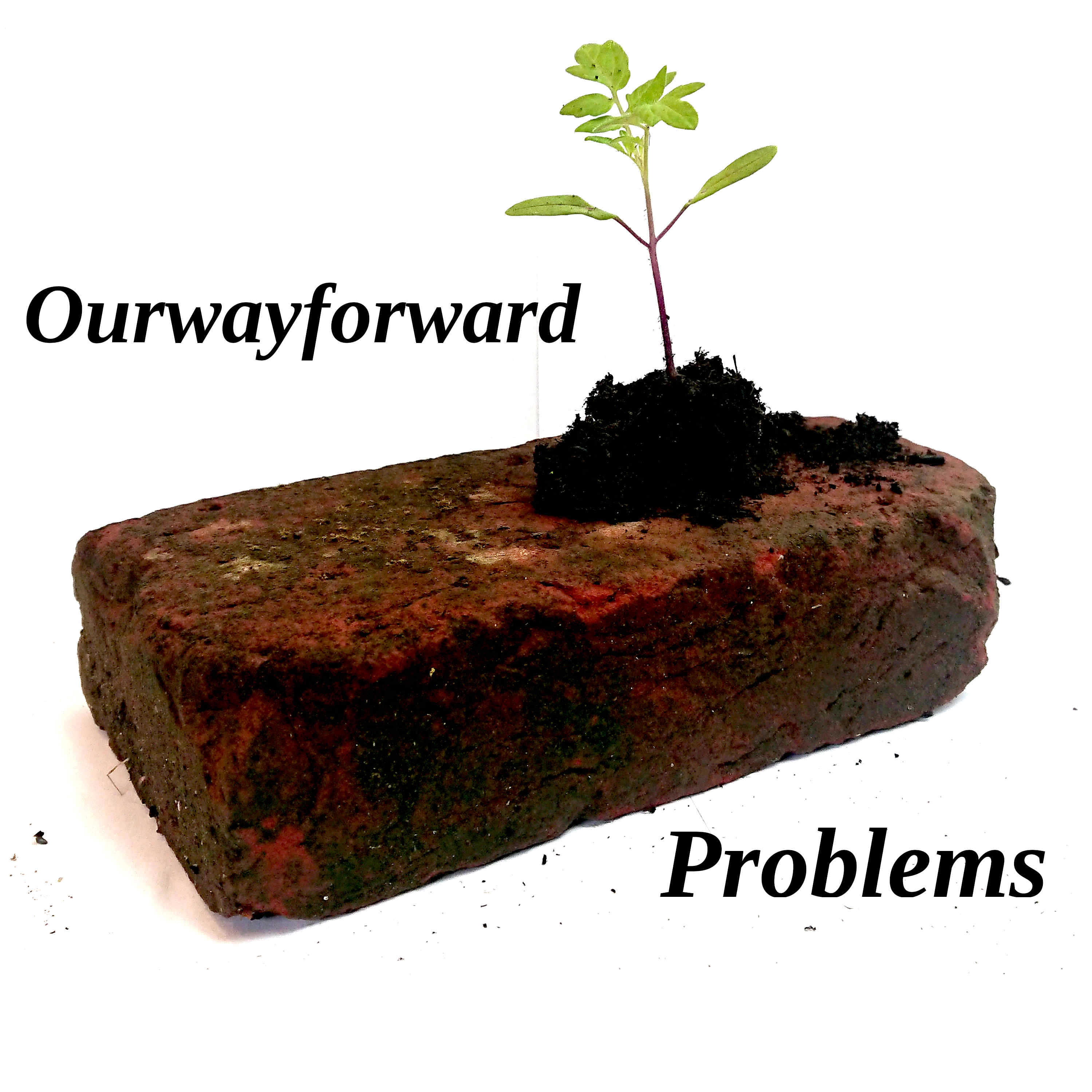 Artwork for Our Way Forward - Problems