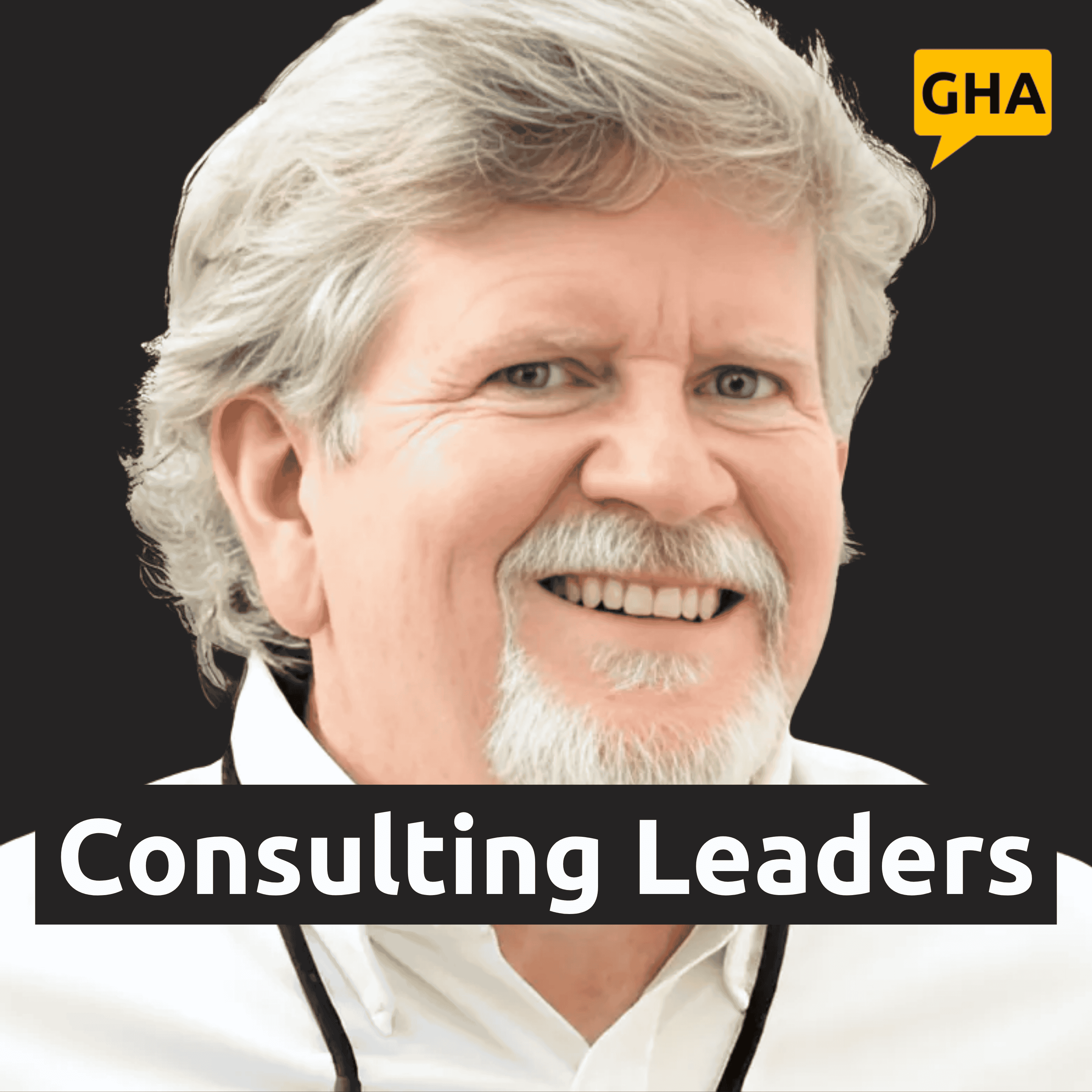 Consulting Leaders