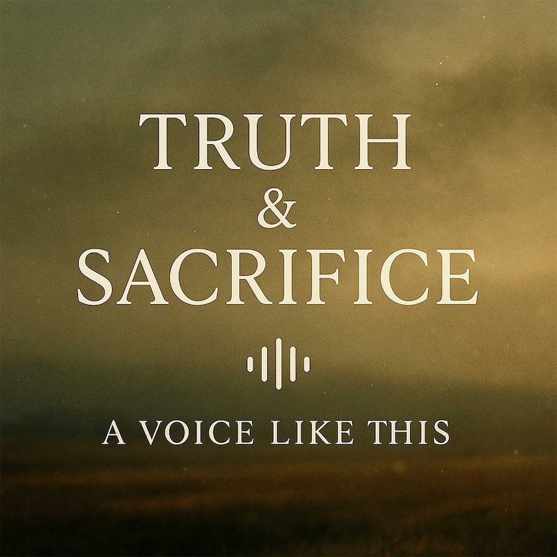 Artwork for podcast A Voice Like This