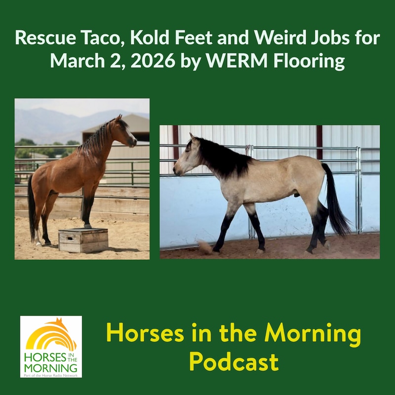 Artwork for podcast Horses in the Morning