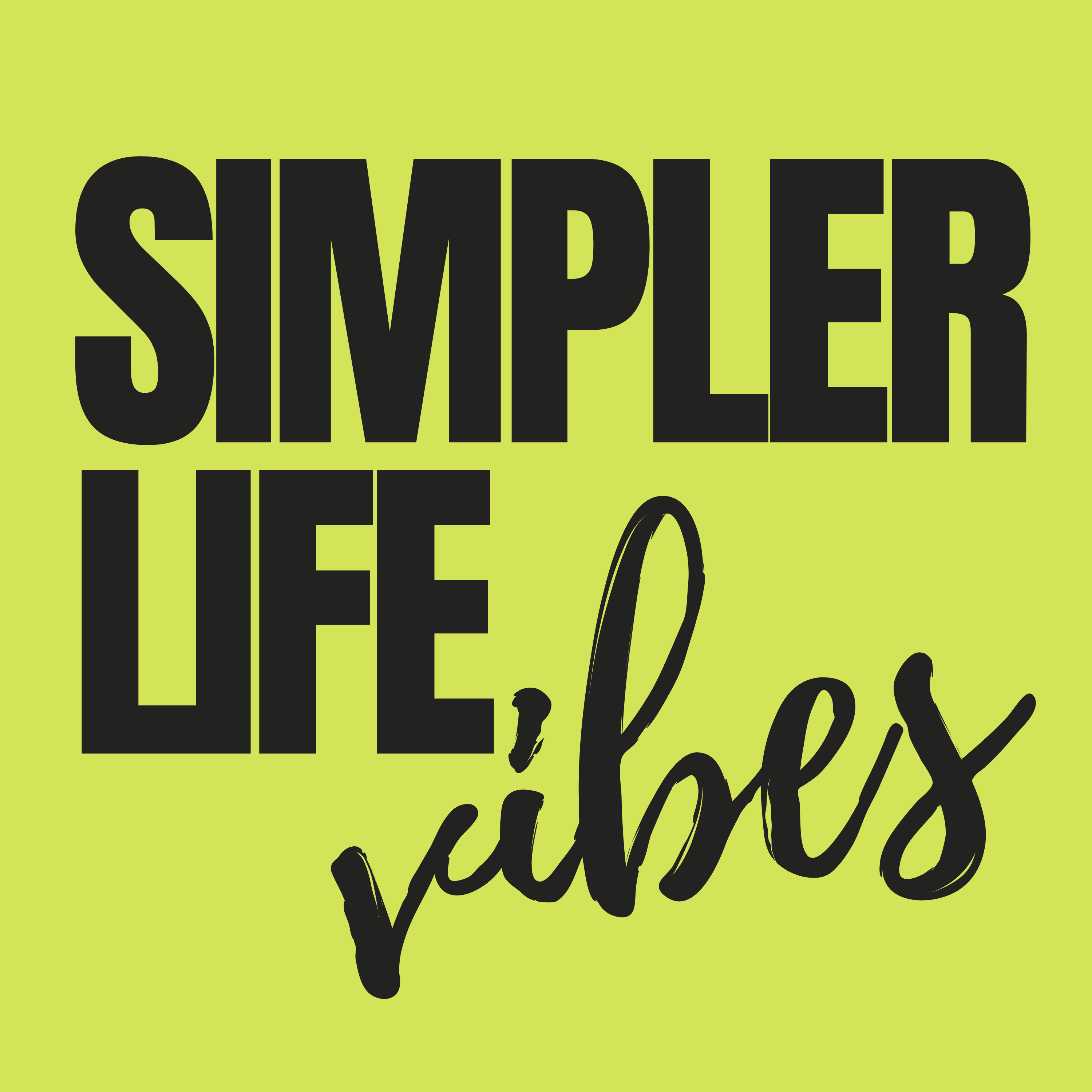Simpler Life Vibes cover art