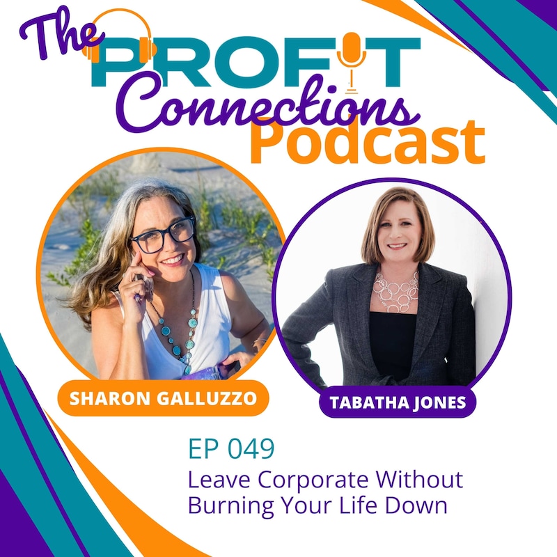 Artwork for podcast The Profit Connections Podcast