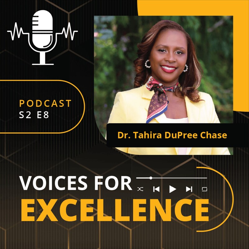 Artwork for podcast Voices for Excellence