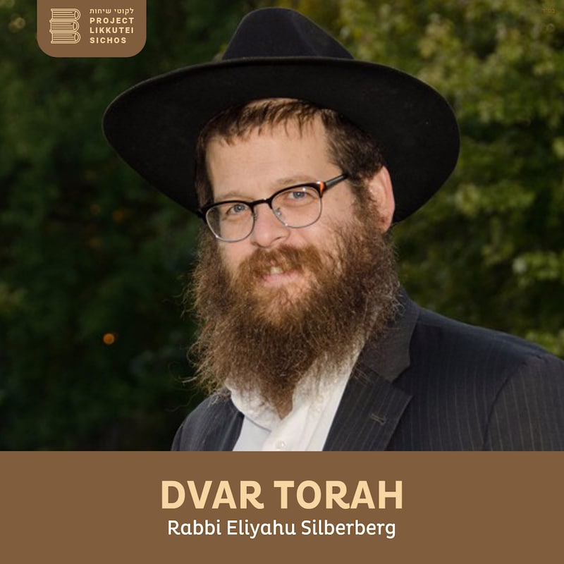 Artwork for podcast Dvar Torah, Rabbi Elyahu Silberberg