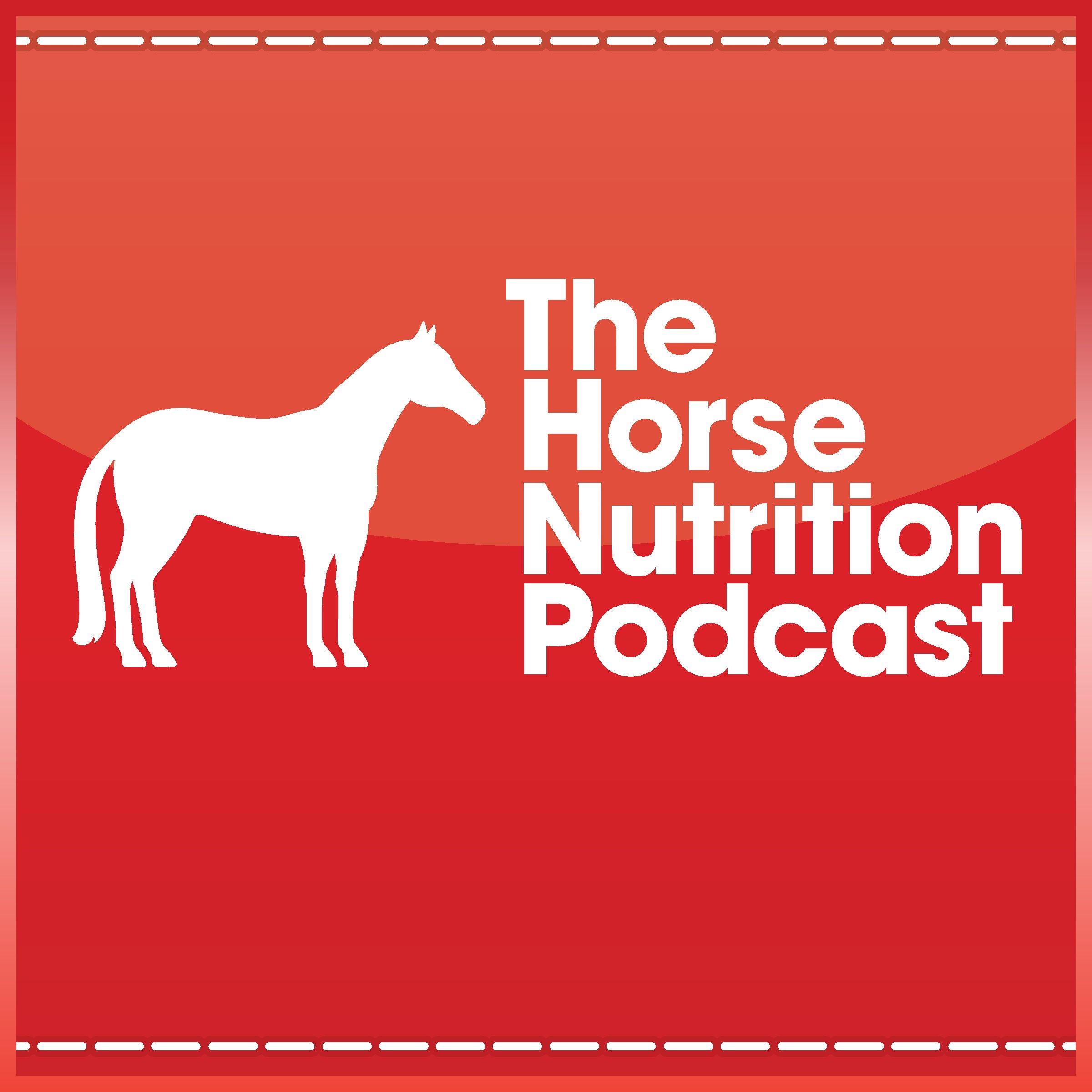 The Budweiser Clydesdale, The Horse Nutrition Podcast