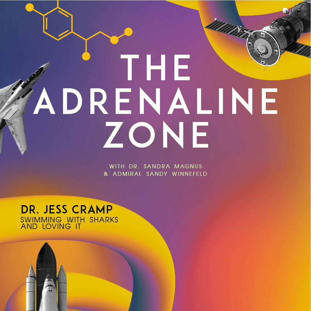 The Adrenaline Zone