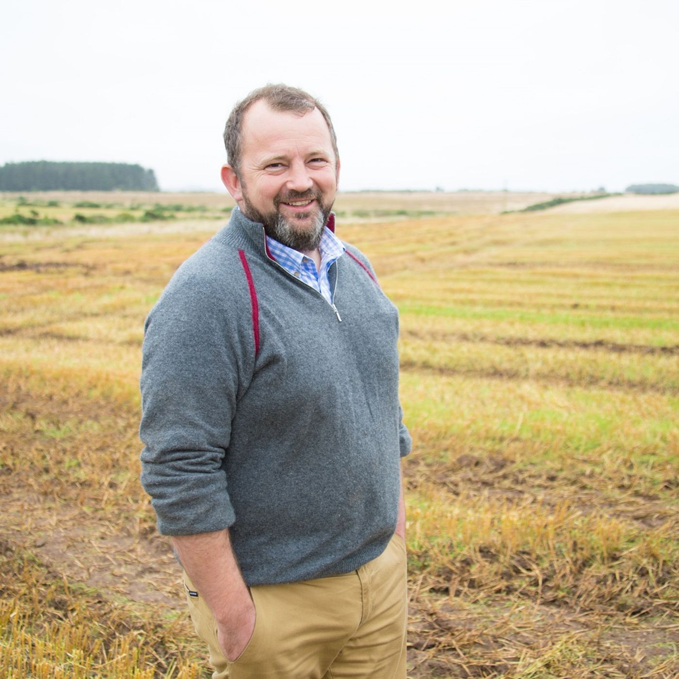 10: Cover crop trials, group 3 soft wheats, Scotland's gluten-free oat processing and the skills business