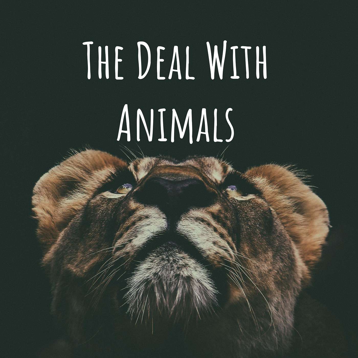45: Family Matters with Jen Shryock and Helen St. Pierre (S5)