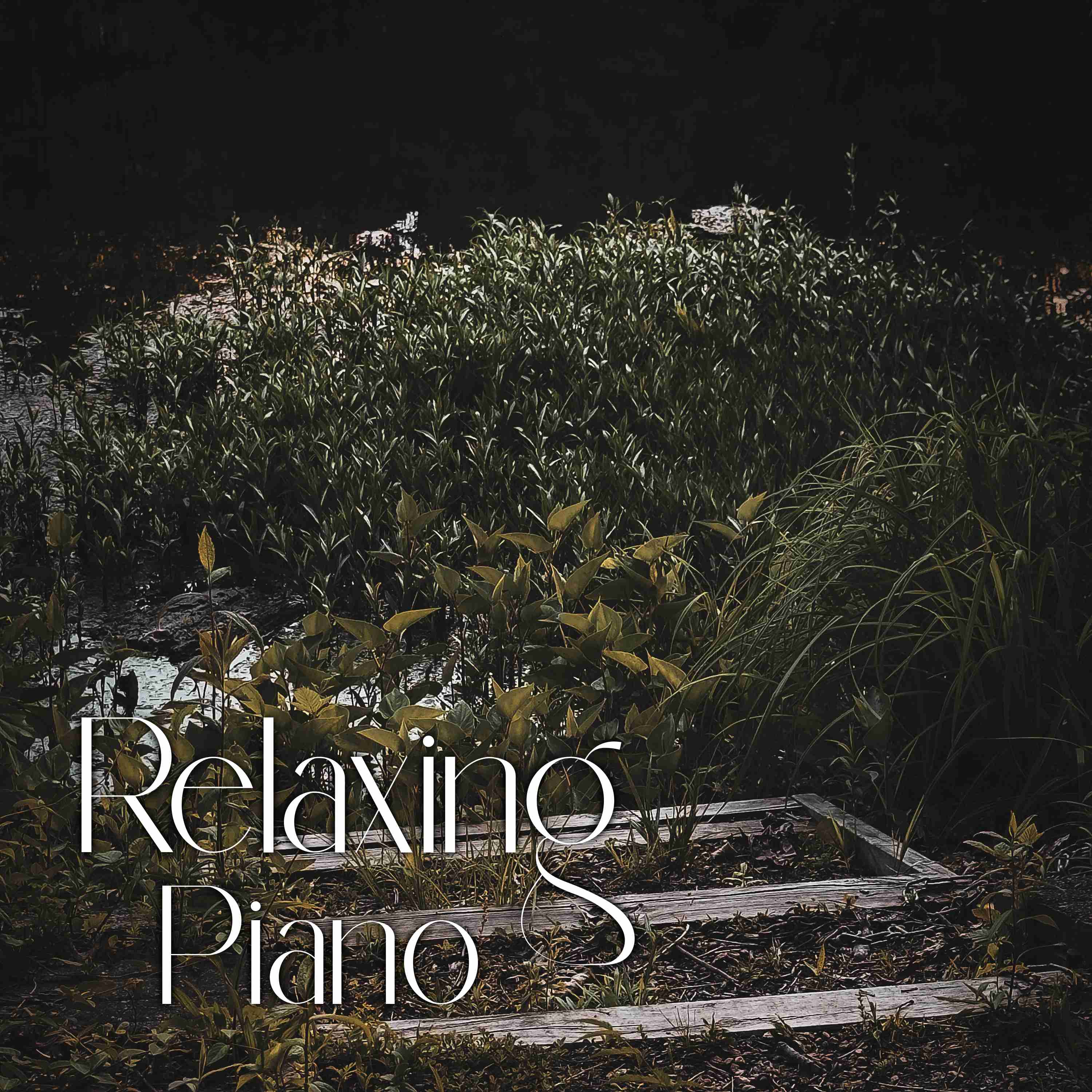Peaceful Piano for Relaxing with Summer Crickets - 4 Hours - "For Nights on End"