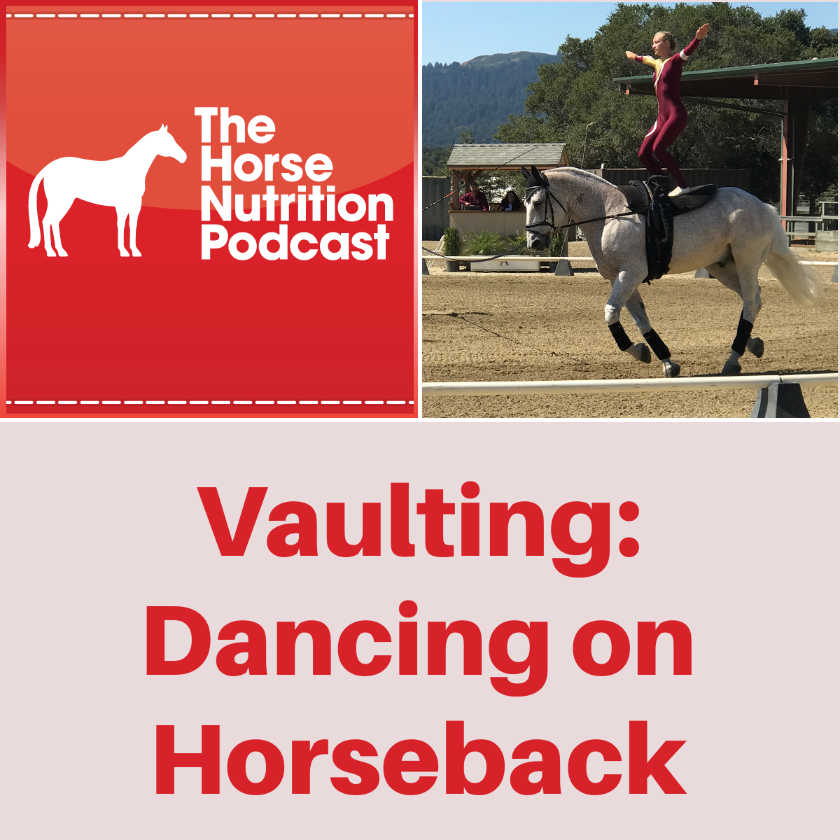 Vaulting, Dancing on Horseback