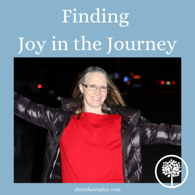 Finding Joy in the Journey