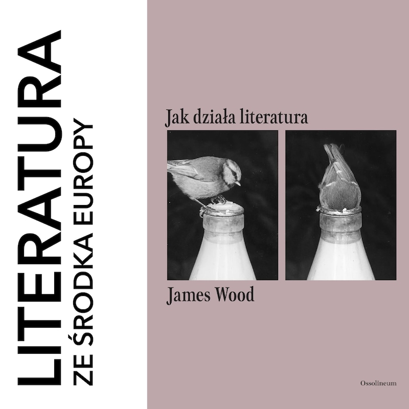 Artwork for podcast Literatura ze środka Europy