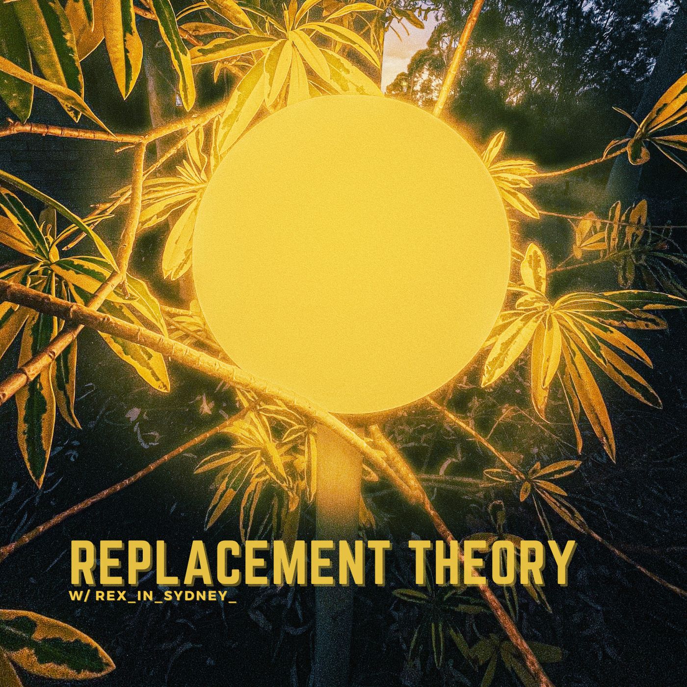 Artwork for Replacement Theory