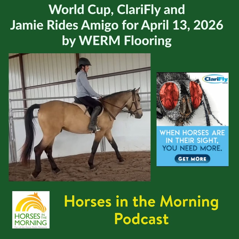 Artwork for podcast Horses in the Morning