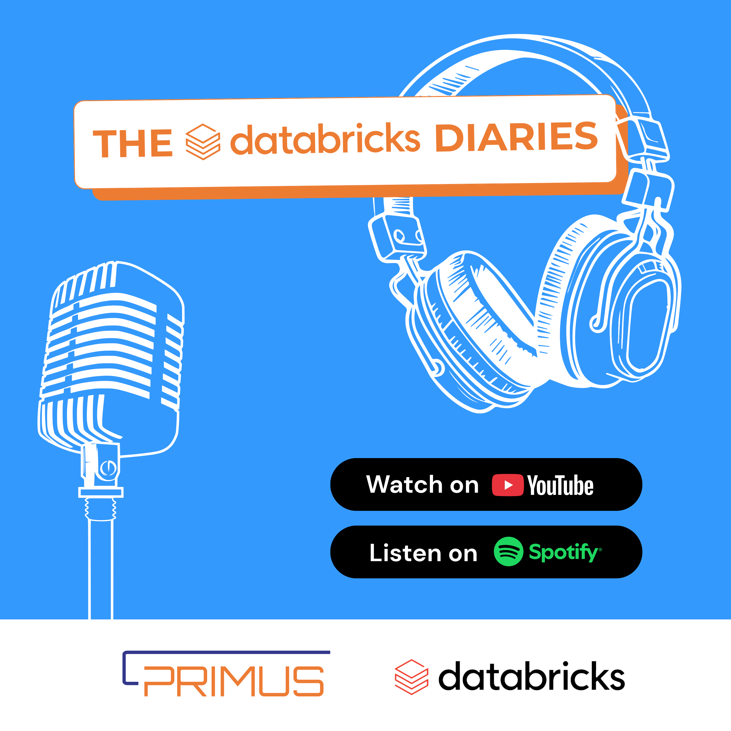 The Databricks Diaries
