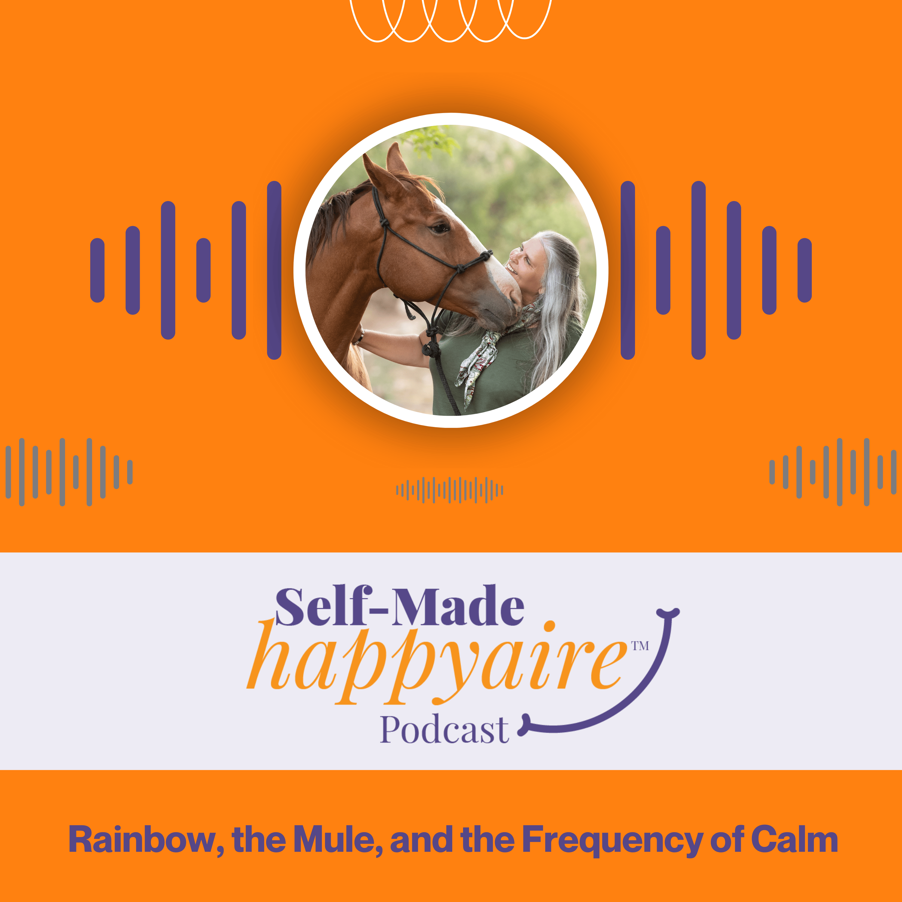 Rainbow, the Mule, and the Frequency of Calm episode artwork