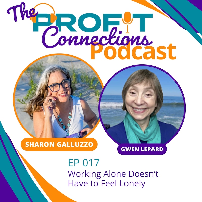 Artwork for podcast The Profit Connections Podcast
