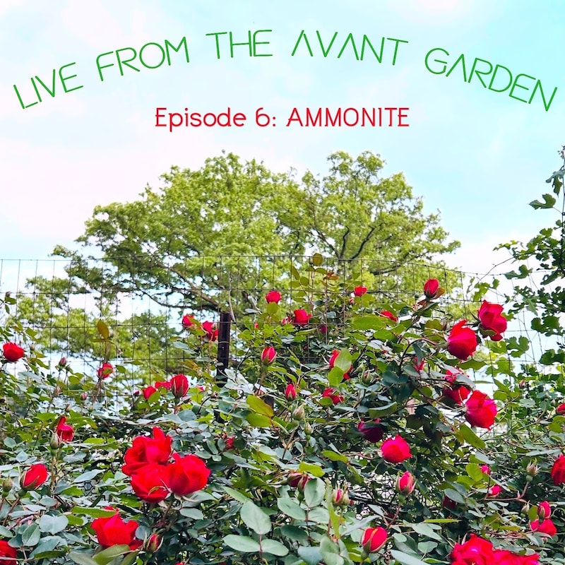 Artwork for podcast Live from the Avant Garden