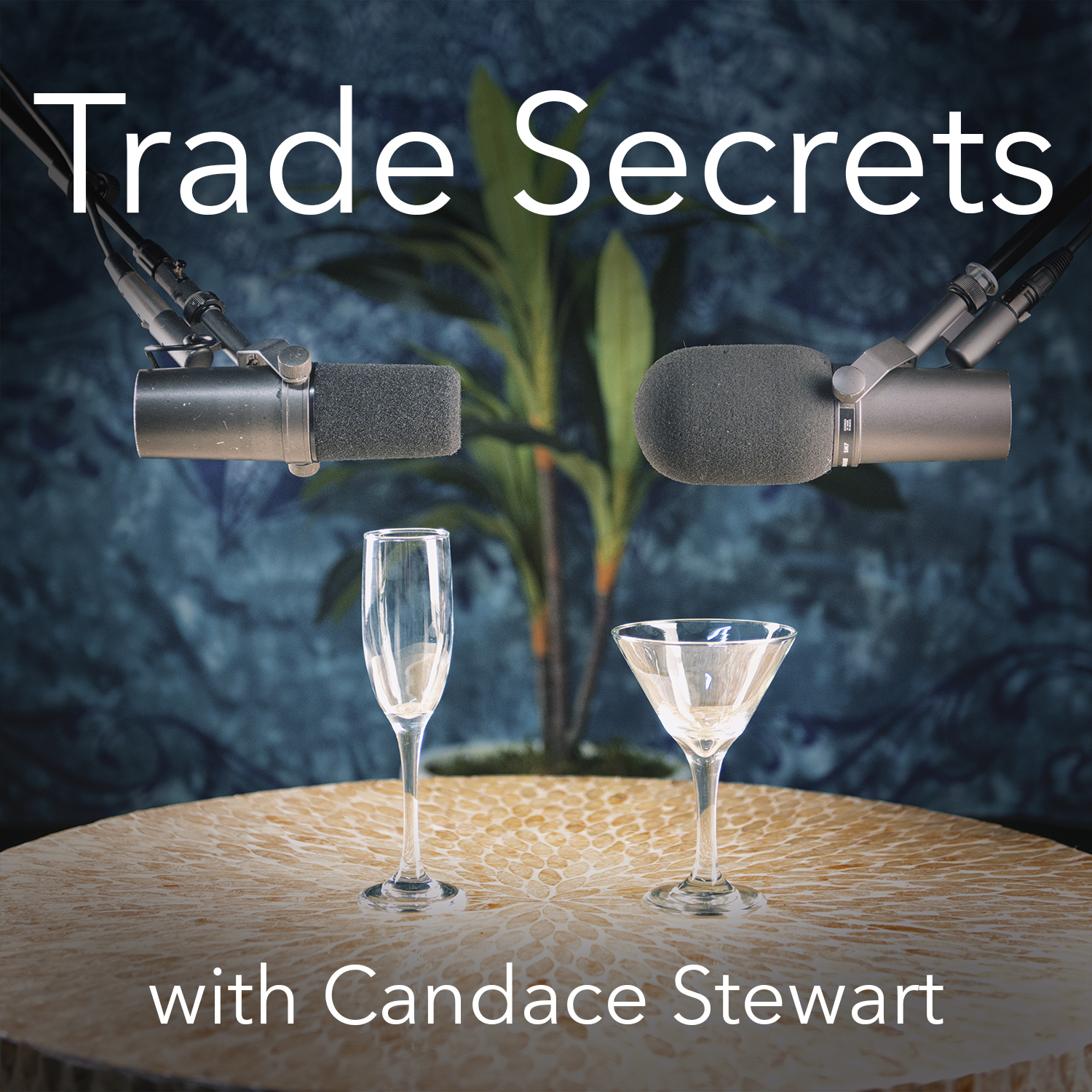 Show artwork for Trade Secrets