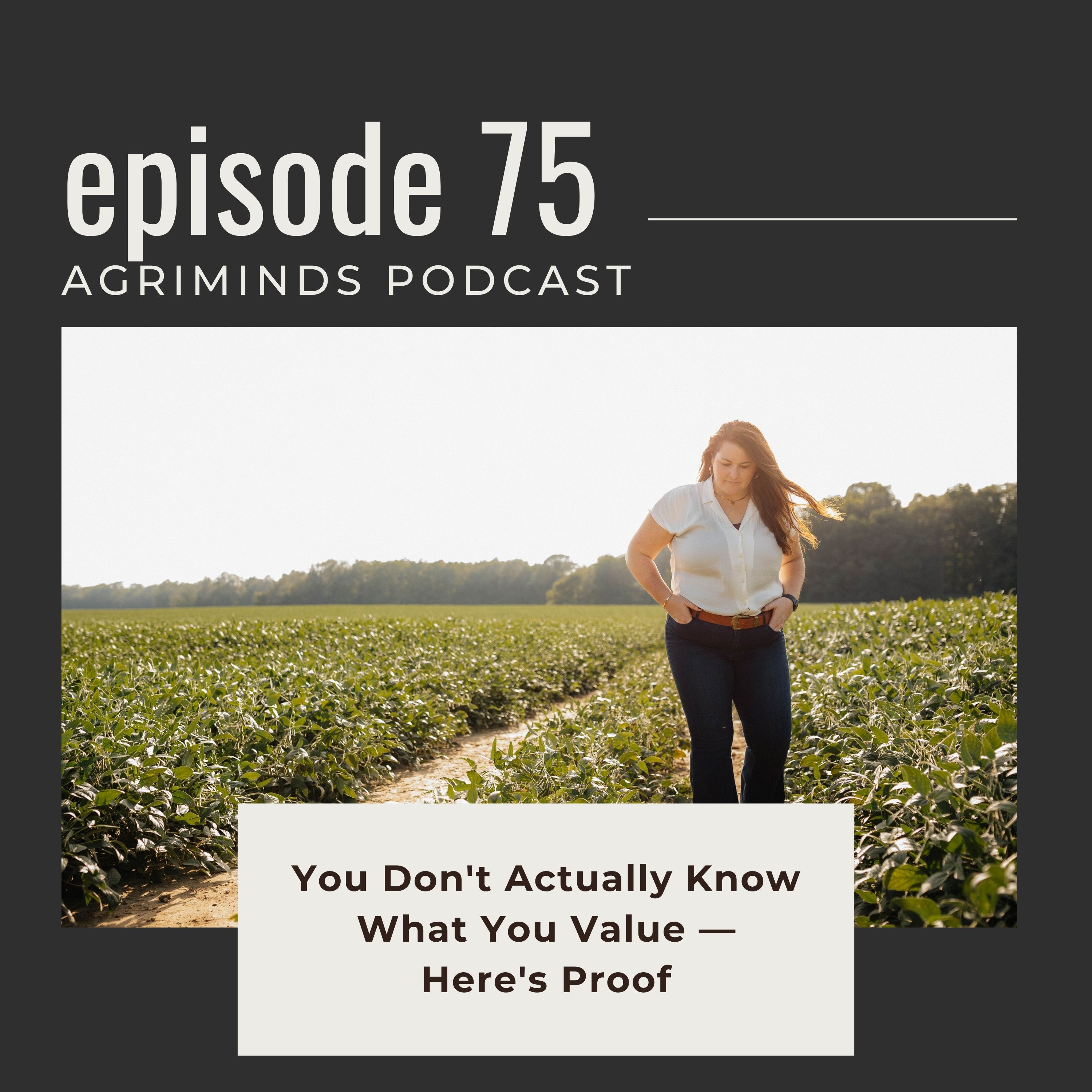 75. You Don't Actually Know What You Value — Here's Proof episode artwork