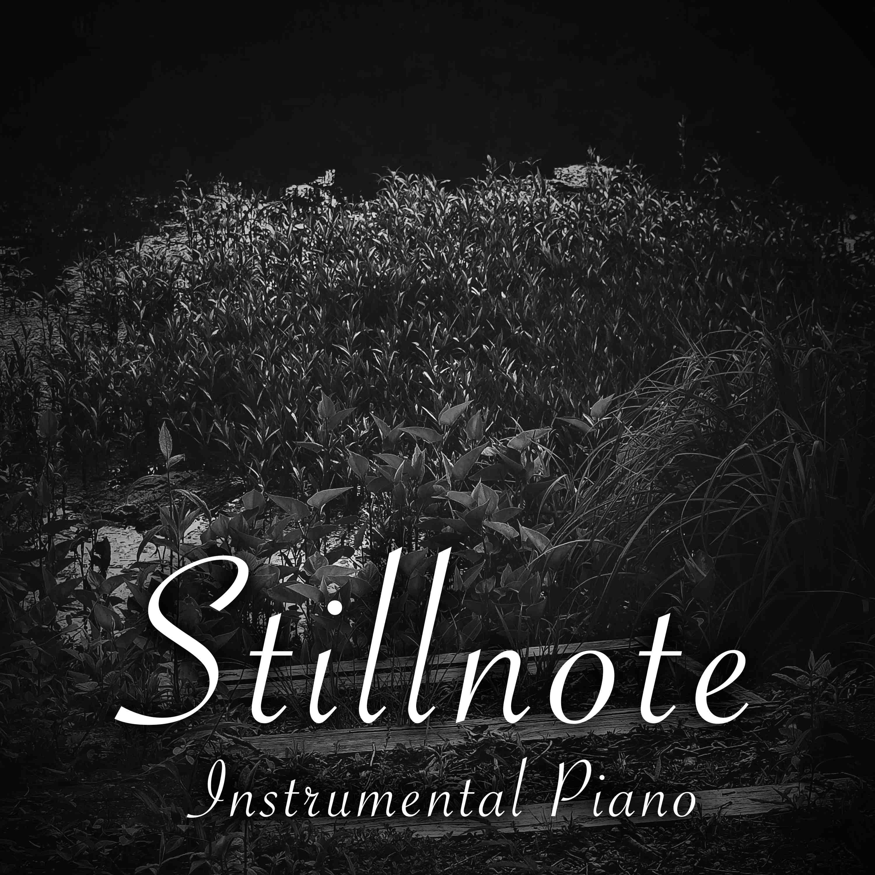 ADHD Instrumental Piano with Summer Crickets - 4 Hours - "For Nights on End" episode artwork