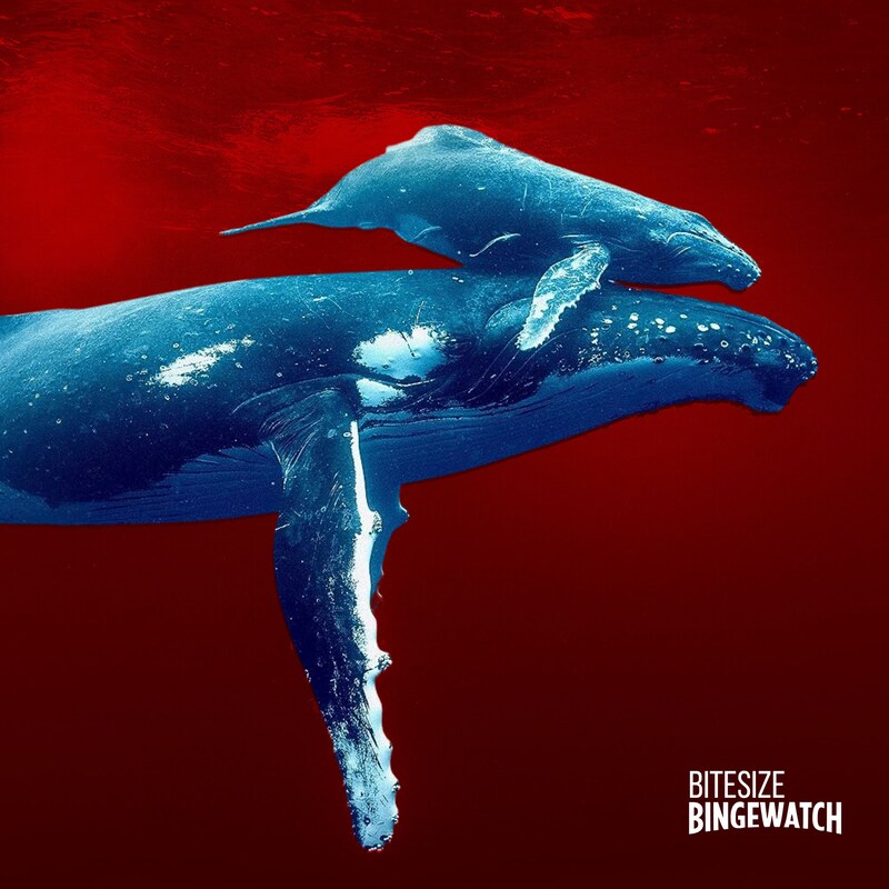 Artwork for podcast Bitesize Bingewatch