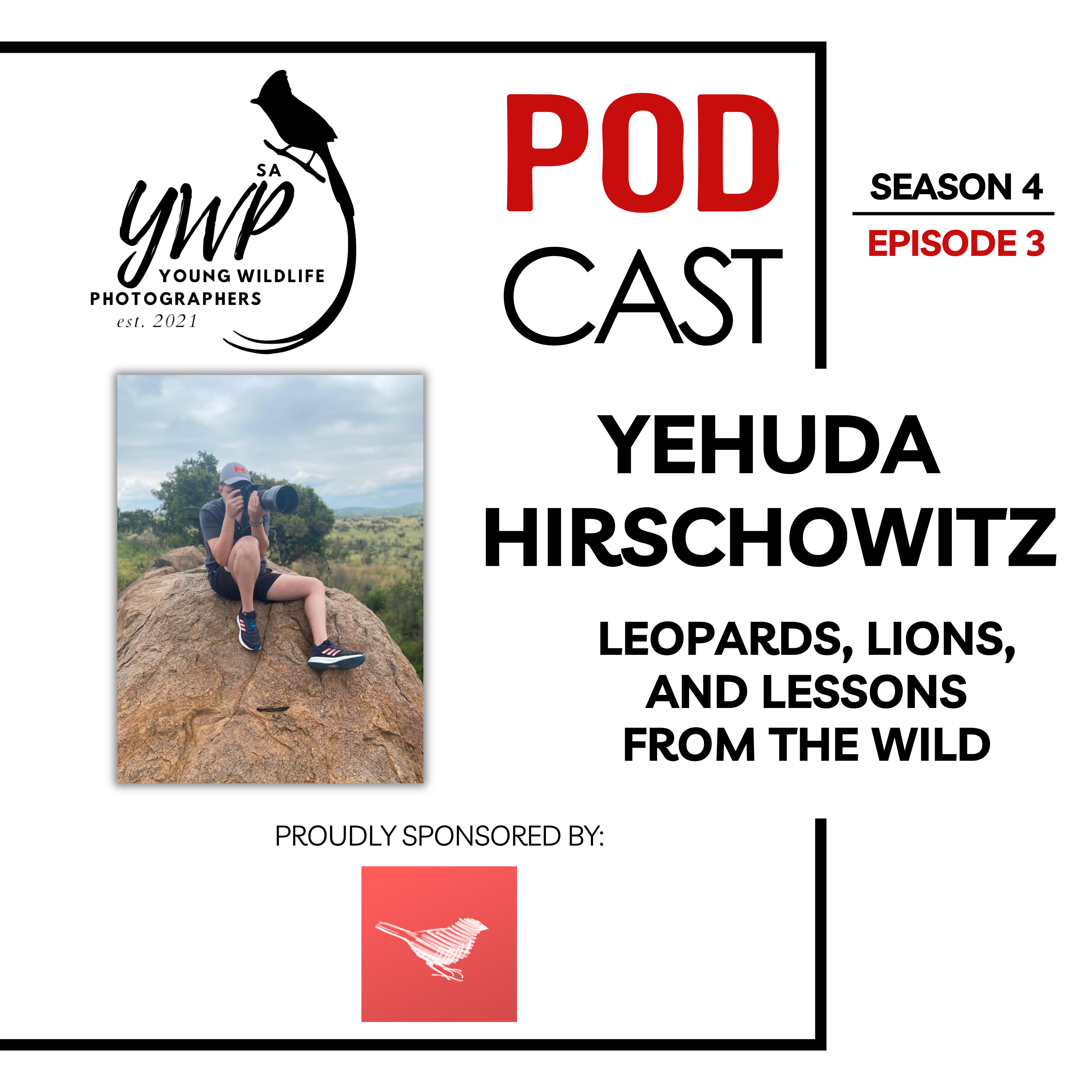 YWP Podcast Season 4 Episode 3 - Yehuda Hirschowitz: Leopards, Lions, and Lessons from the Wild