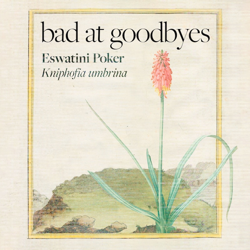 Artwork for podcast Bad at Goodbyes