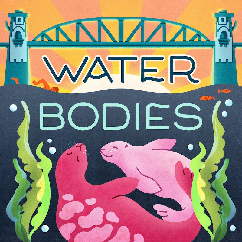 Artwork for podcast Waterbodies