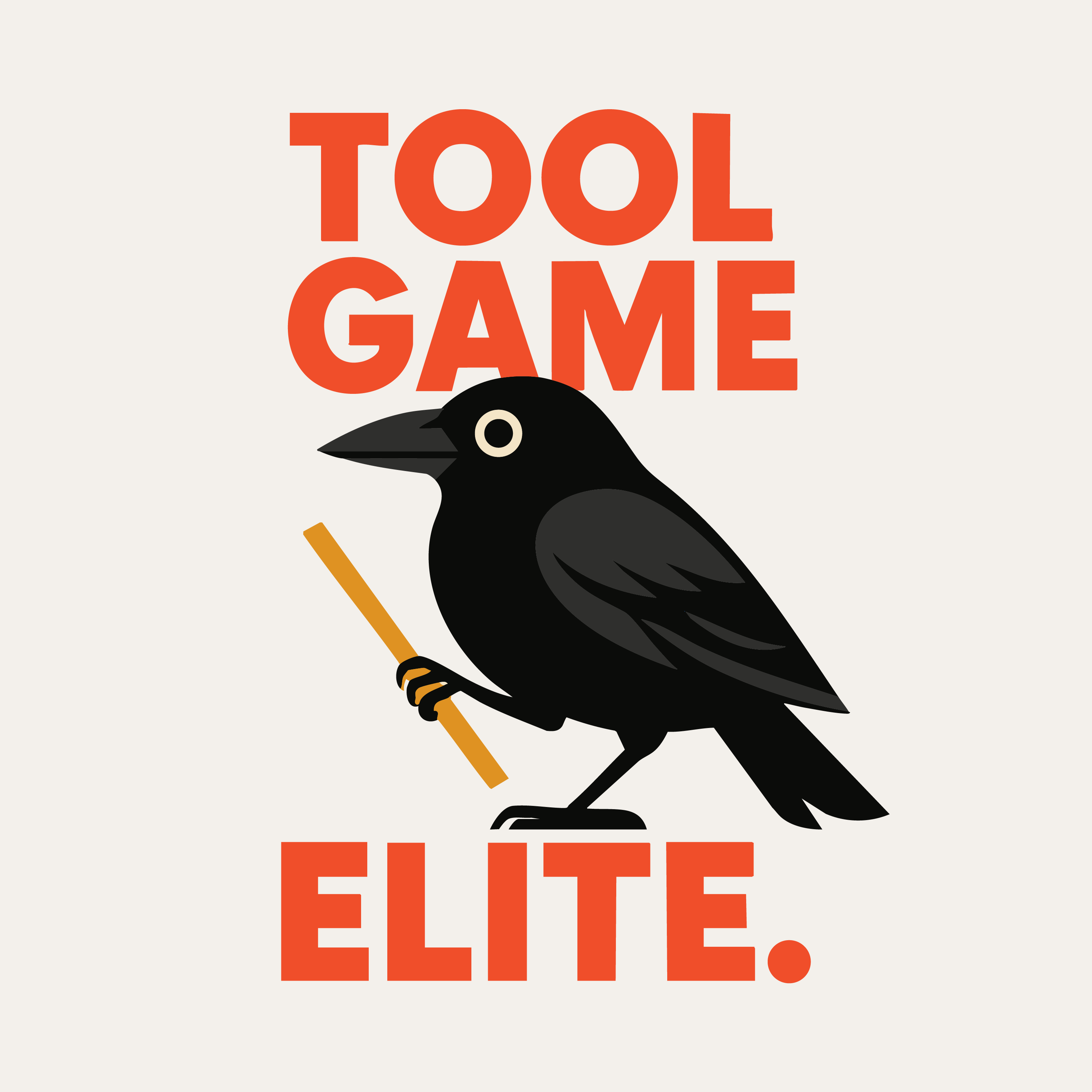 Okay, but what's in a bird's toolbox?