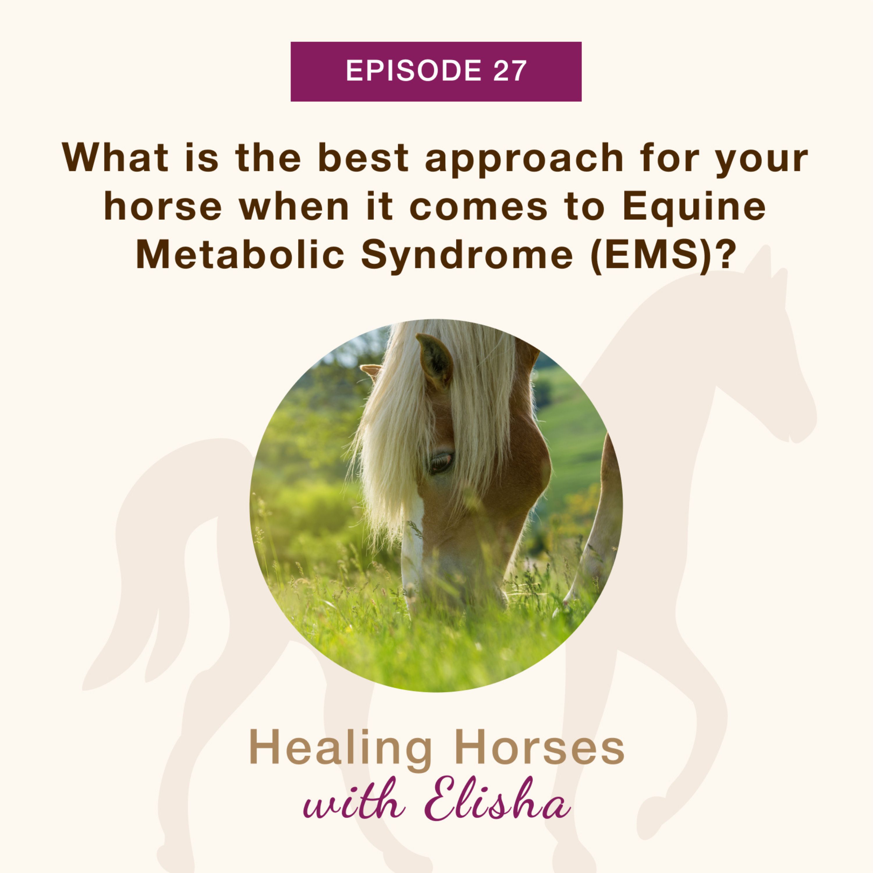27: What is the best approach for your horse when it comes to Equine Metabolic Syndrome (EMS)