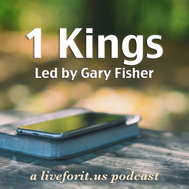 Artwork for podcast Liveforit I Kings Study
