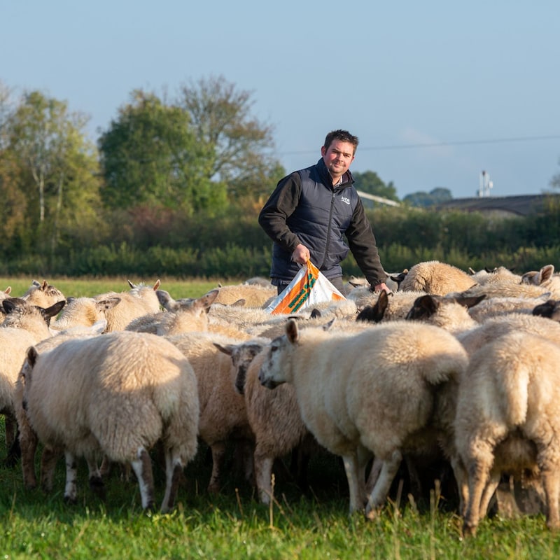 Artwork for podcast AHDB Food & Farming