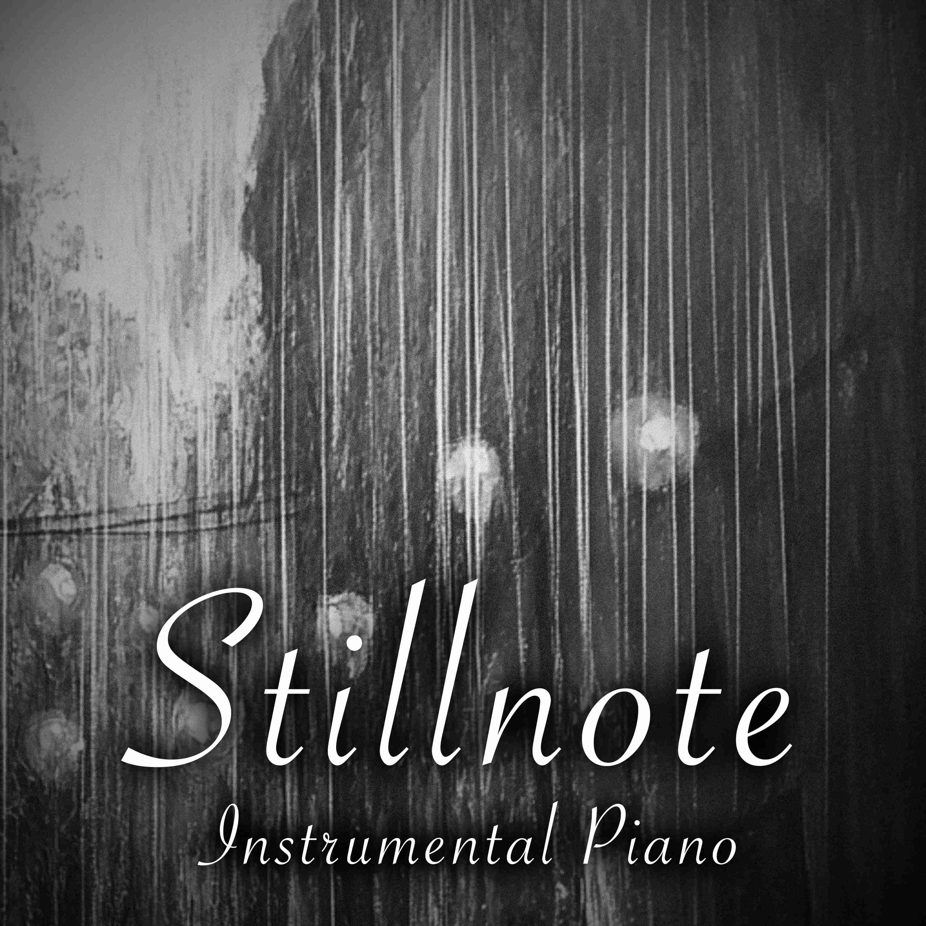 Stillnote Piano for ADHD with Gentle Rain - 4 Hours - "Midnight Bloom" episode artwork