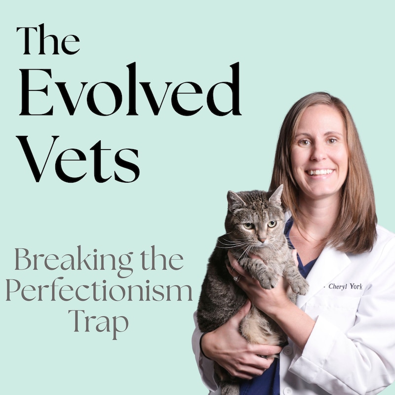 Artwork for podcast The Evolved Vets