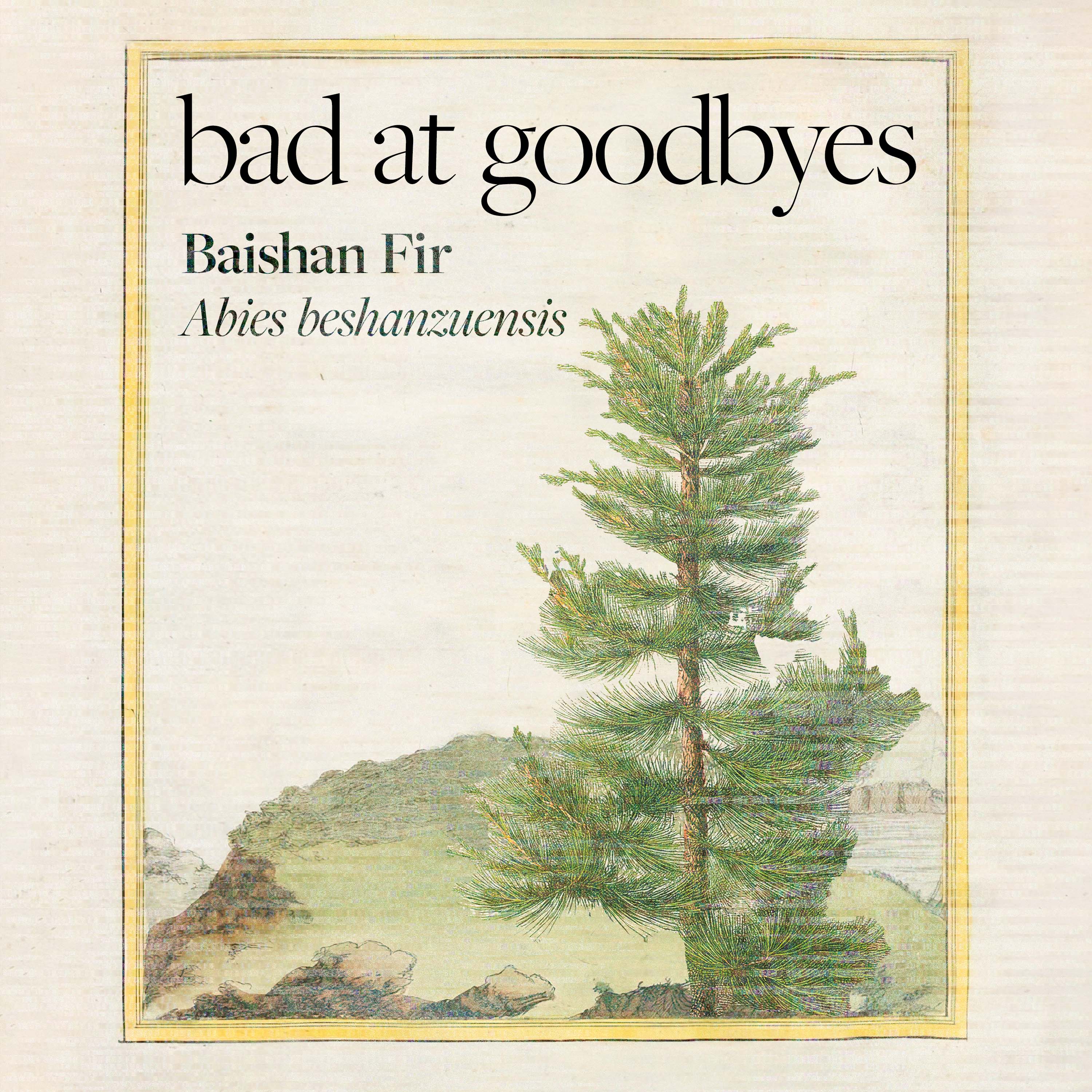 Bad at Goodbyes