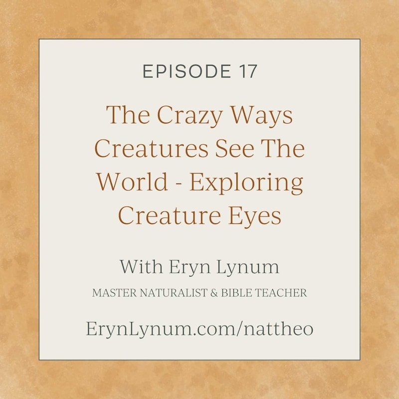 Artwork for podcast Nat Theo Nature Lessons Rooted in the Bible