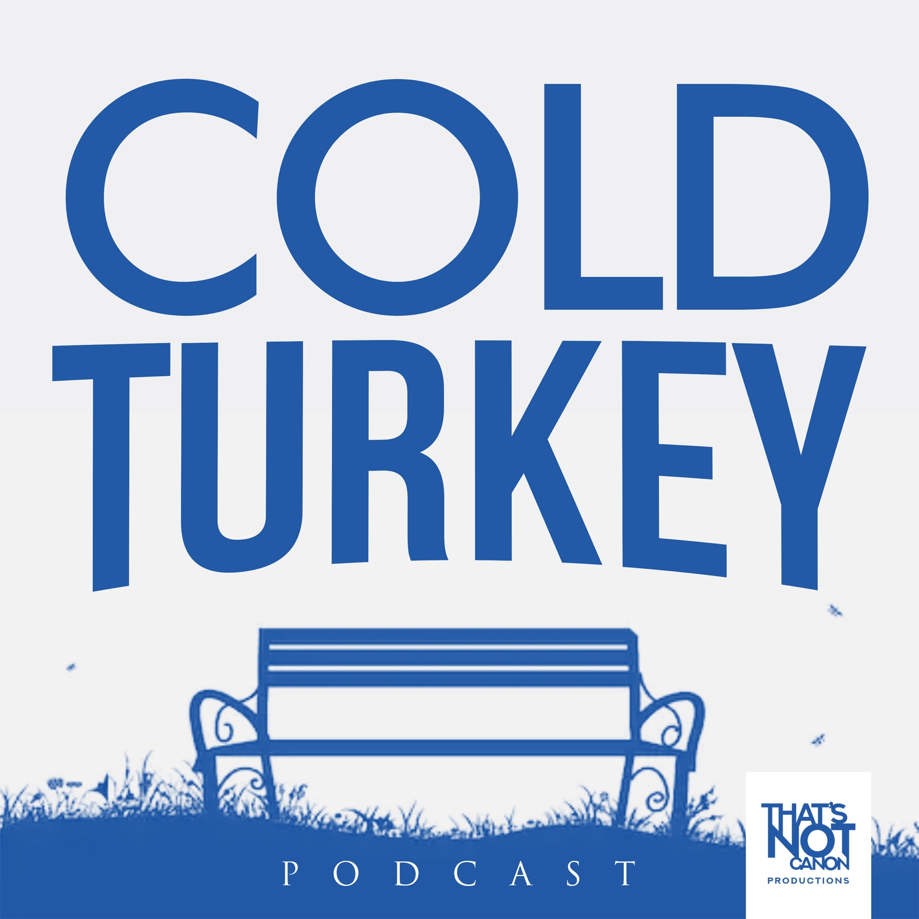 Guest Spot: Cold Turkey Podcast (Ft. Arys Déjan)