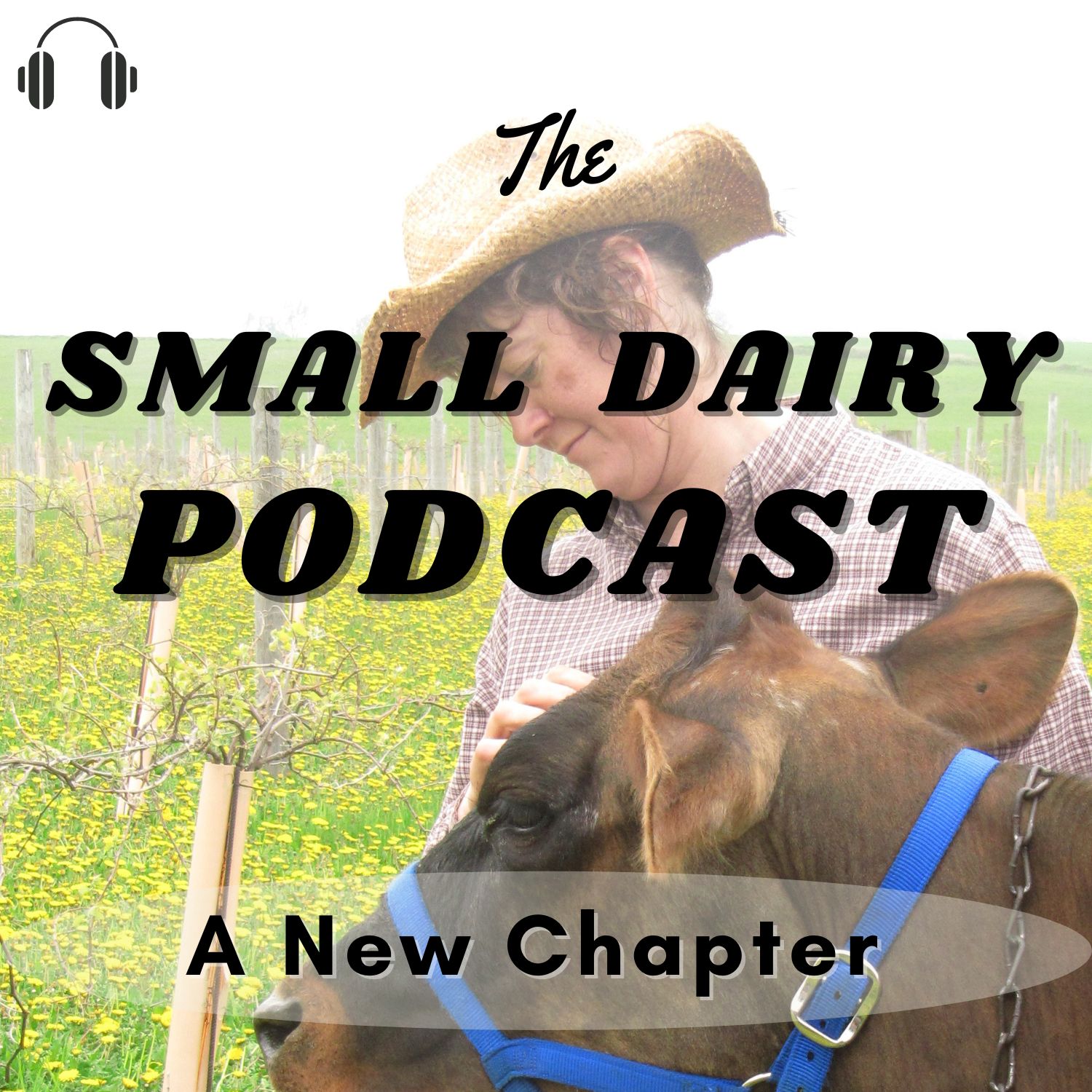 The Small Dairy Podcast