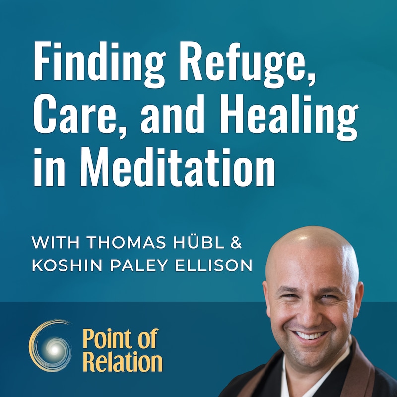 Artwork for podcast Point of Relation with Thomas Huebl
