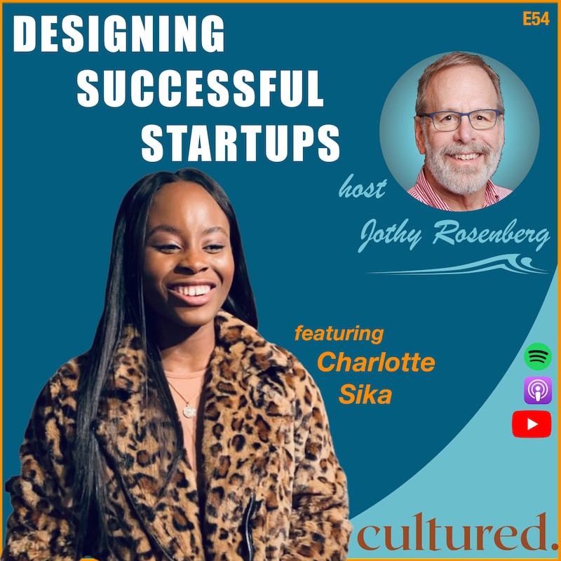 Artwork for podcast Designing Successful Startups