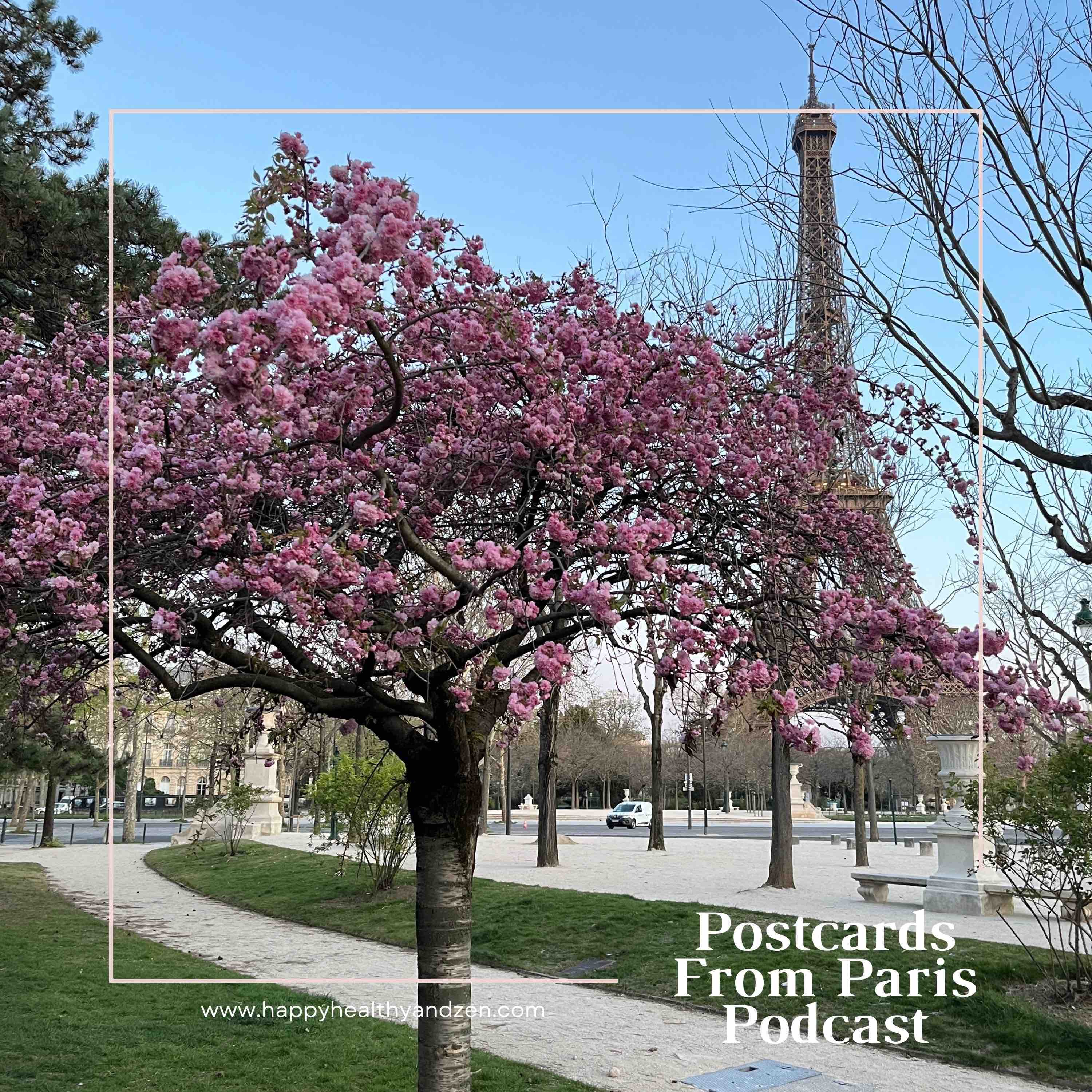 Spring into Presence: From Distraction into Action