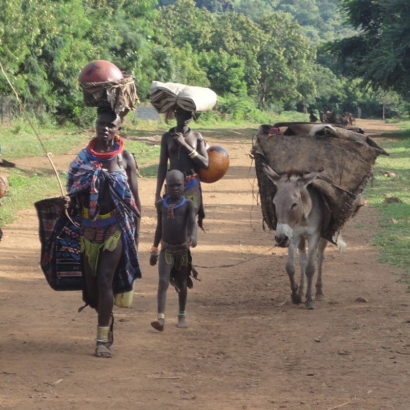 Artwork for podcast The Modern Humanitarian and Development Leader: Make a Greater Impact by Creating a High Performance Team while Avoiding Stress and Overwhelm