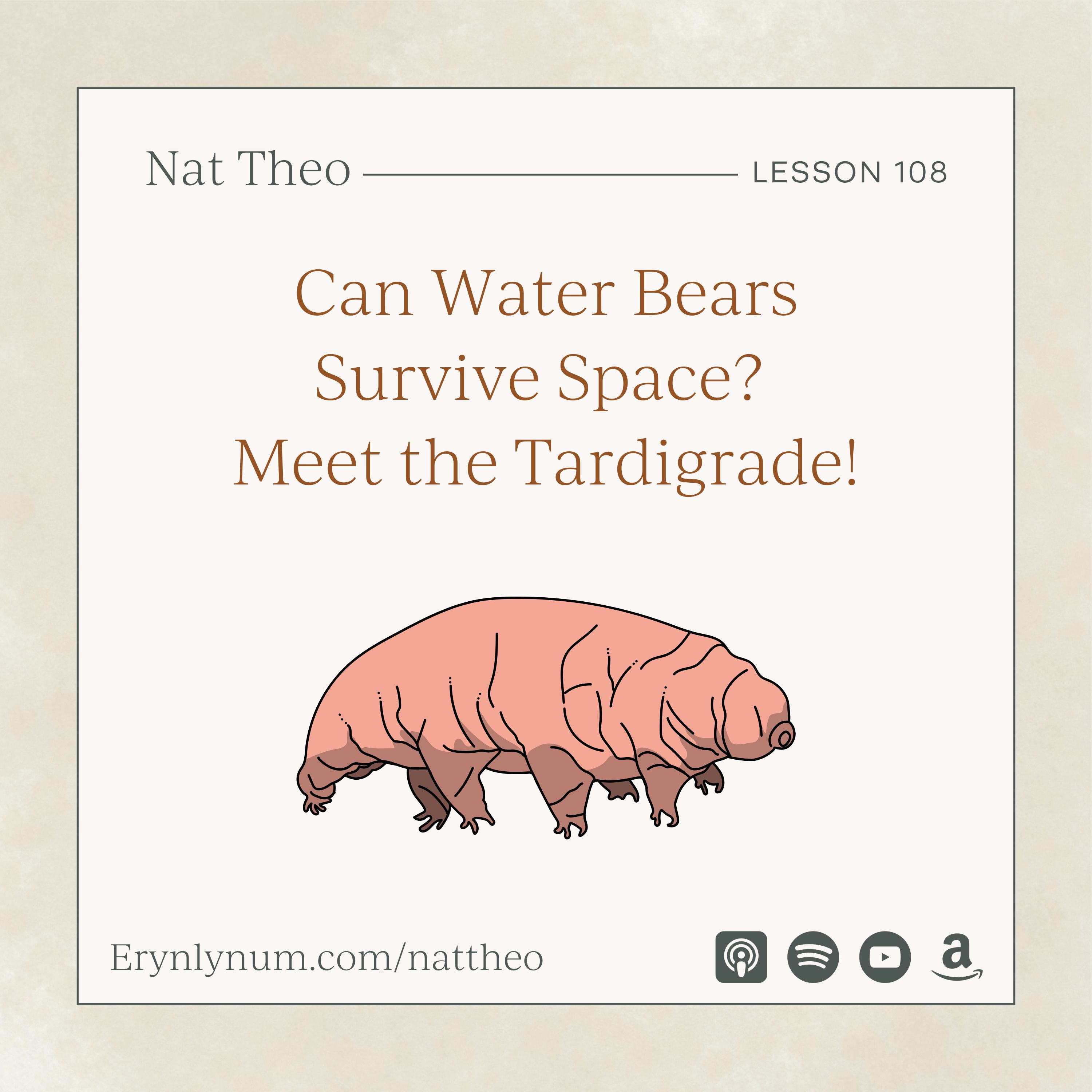 Can Water Bears Survive Space? Meet the Tardigrade! Lesson 108