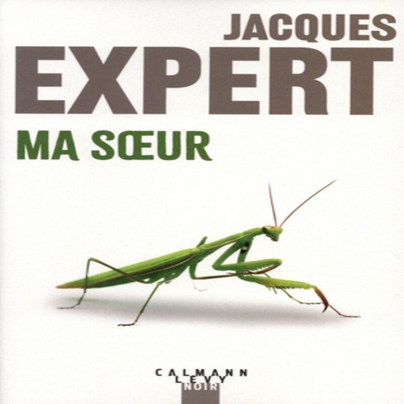 Artwork for podcast Chroniques livres